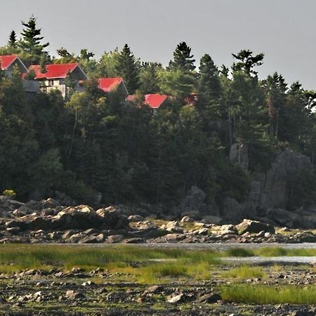 Camping & Chalets De La Demi-Lieue Otel Saint-Jean-Port-Joli Dış mekan fotoğraf